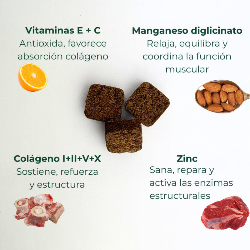 Suplemento Condroprotector OrtoCanis