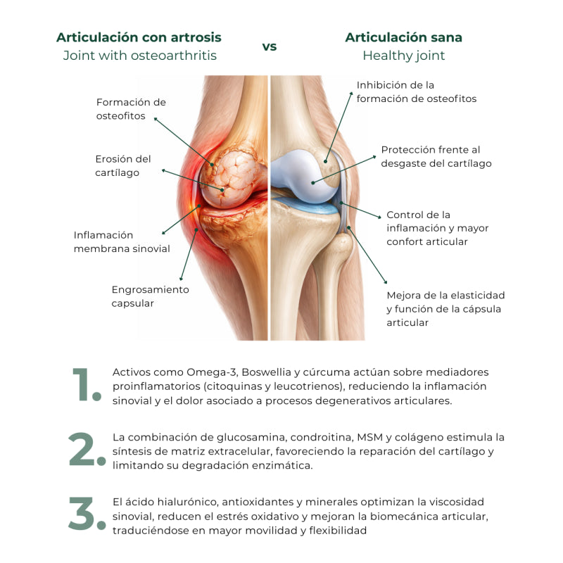 Suplemento Condroprotector OrtoCanis