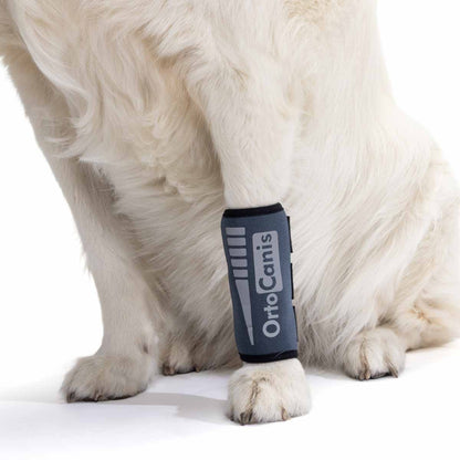 Muñequera para Perro OrtoCanis