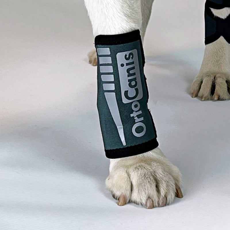 Muñequera para Perro OrtoCanis