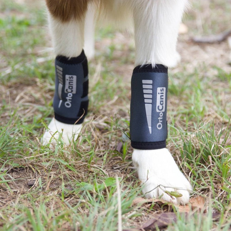 Muñequera para Perro OrtoCanis