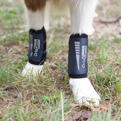 Muñequera para Perro OrtoCanis