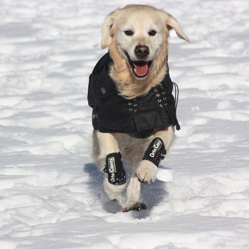 Muñequera para Perro OrtoCanis