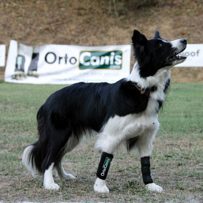 Muñequera para Perro OrtoCanis