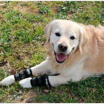 Muñequera para Perro OrtoCanis