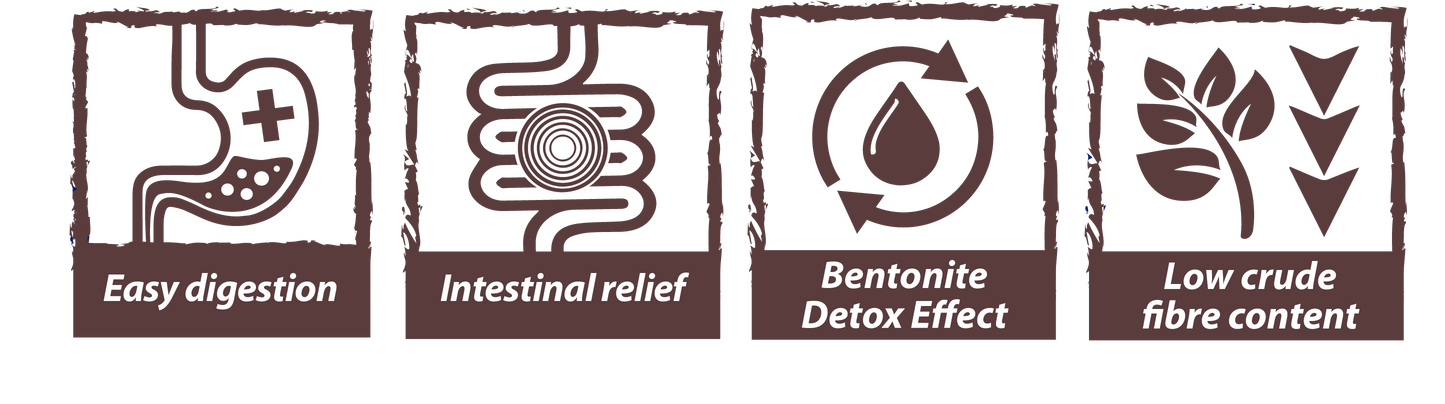 Gastrointestinal Húmedo - Dieta Veterinaria para Perros Júnior y Adultos