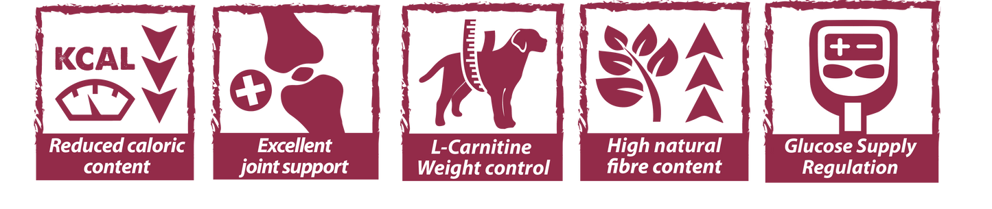 Obesity & Diabetic - Dieta Veterinaria para Perros Adultos, Todas las Razas
