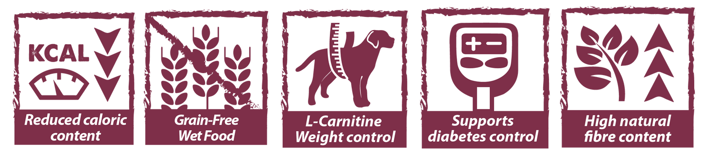Obesity & Diabetic Húmedo - Dieta Veterinaria para Perros Júnior y Adultos