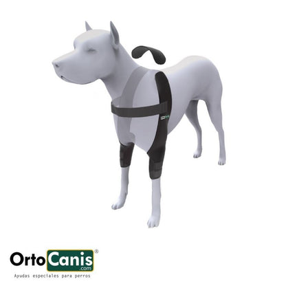 Ortesis de Codo OrtoCanis