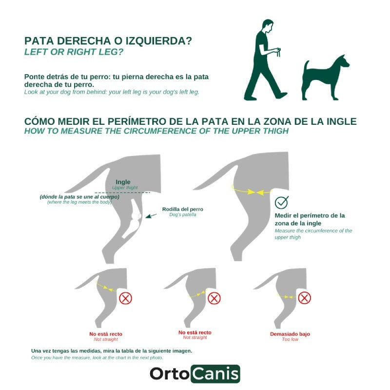 Protector de rodilla OrtoCanis