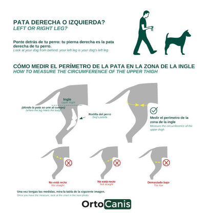 Protector de rodilla OrtoCanis