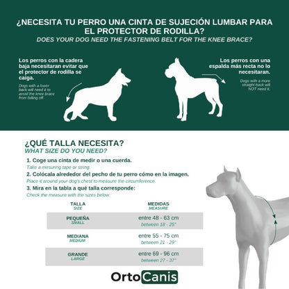 Protector de rodilla OrtoCanis