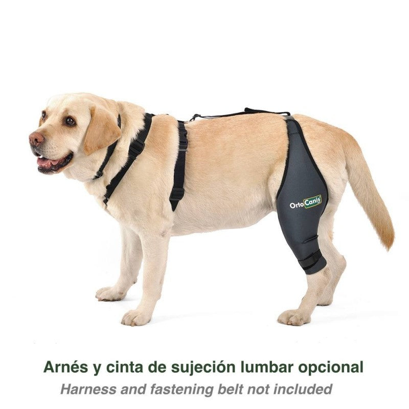 Protector de rodilla OrtoCanis