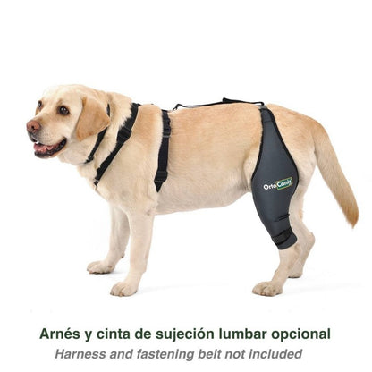 Protector de rodilla OrtoCanis