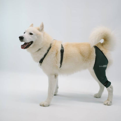 Protector de rodilla OrtoCanis