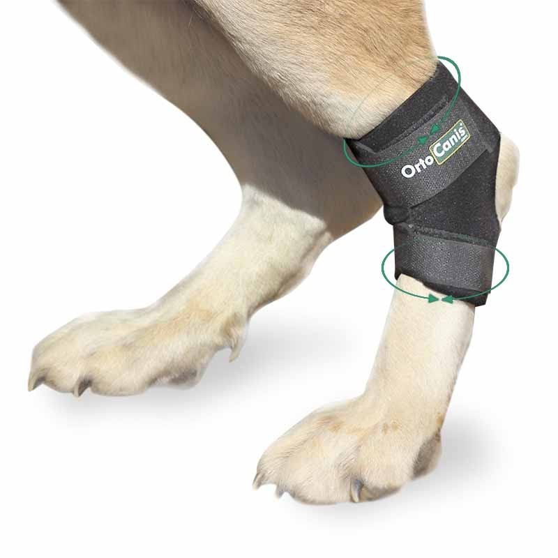 Soporte para Tarso OrtoCanis