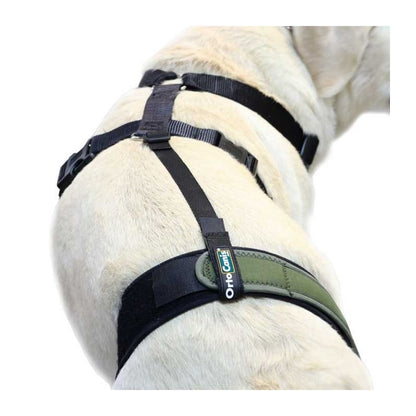 Cinta de sujeción lumbar OrtoCanis