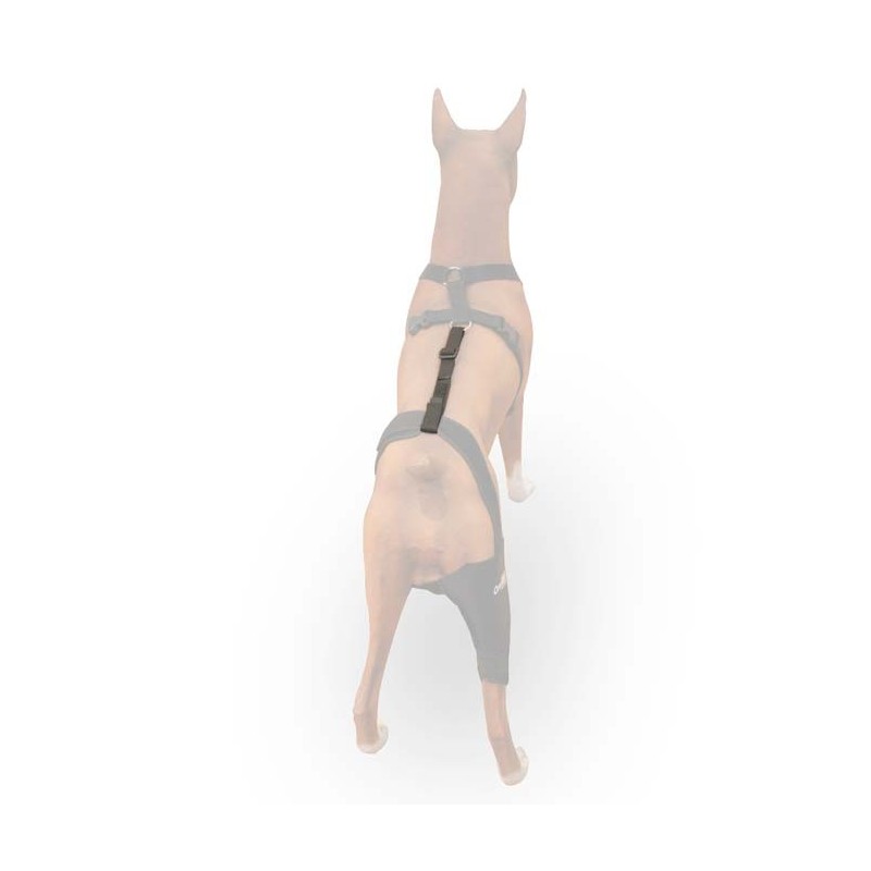 Cinta de sujeción lumbar OrtoCanis