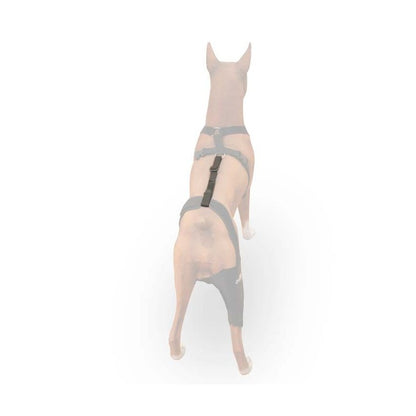 Cinta de sujeción lumbar OrtoCanis