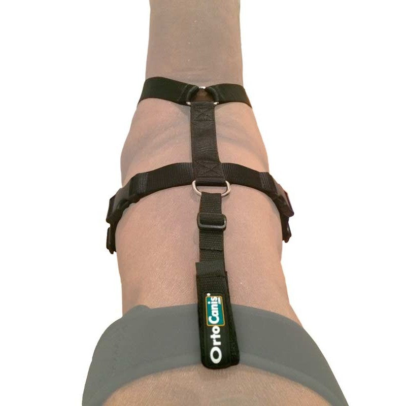 Cinta de sujeción lumbar OrtoCanis