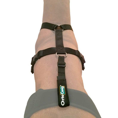 Cinta de sujeción lumbar OrtoCanis