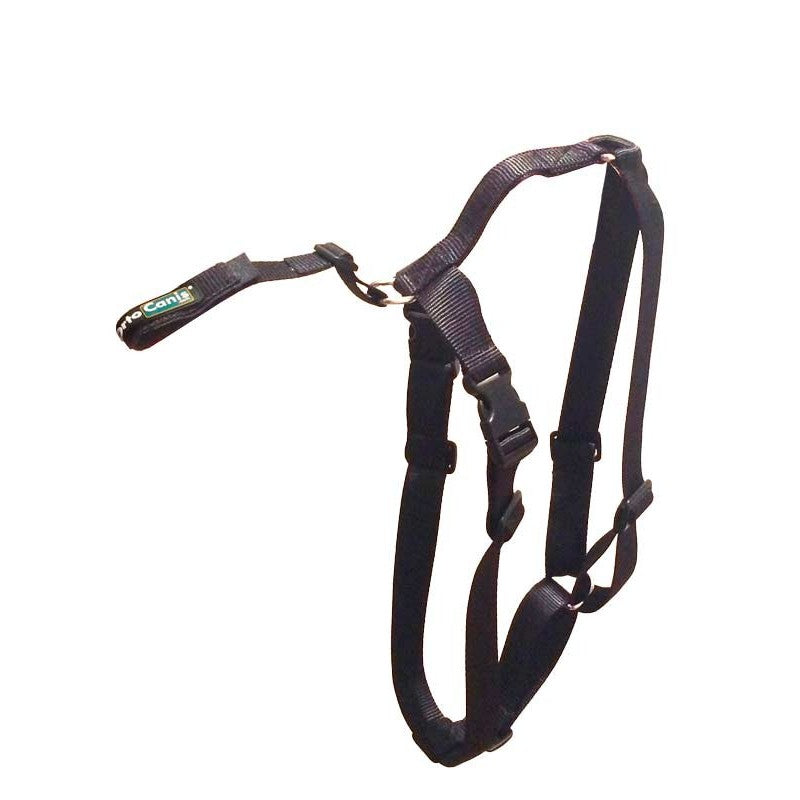 Cinta de sujeción lumbar OrtoCanis