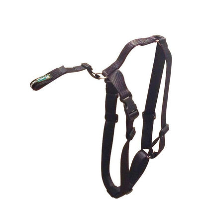 Cinta de sujeción lumbar OrtoCanis