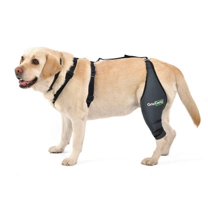 Arnés para perro OrtoCanis
