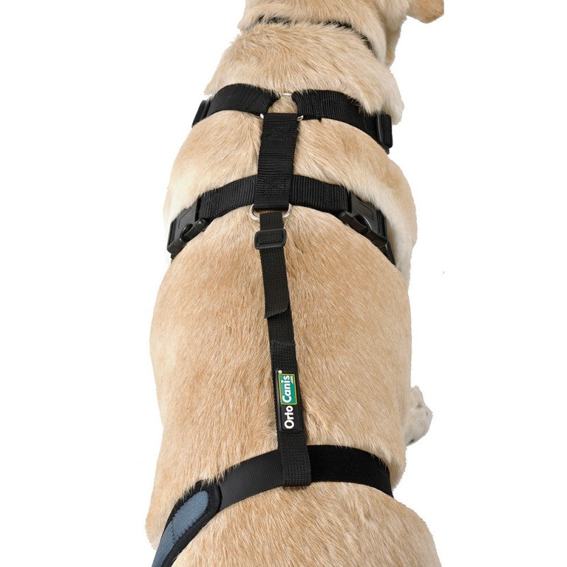 Arnés para perro OrtoCanis